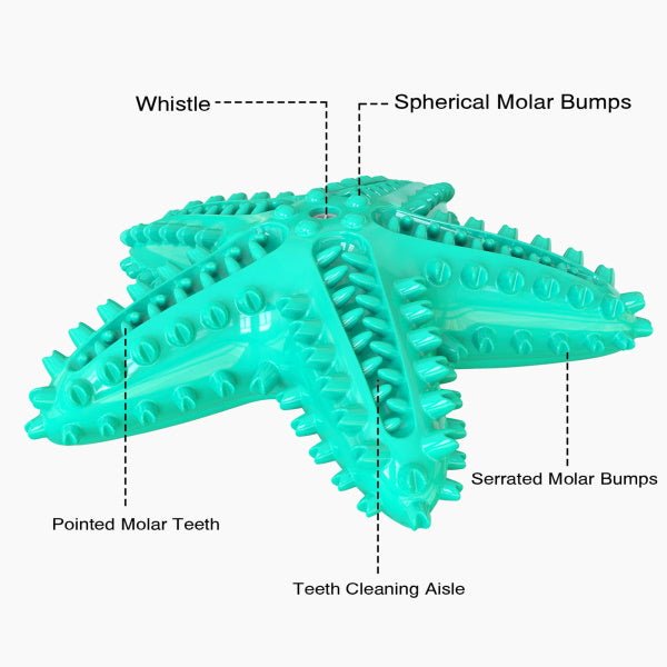 Enrichment Starfish Squeaker Dog Toy - Enrichment Toys from . at DoggyTopia