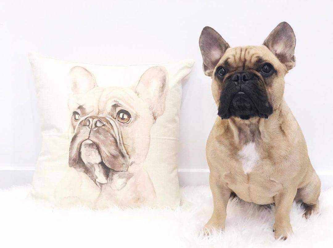 Fawn French Bulldog Throw Cushion - Cushions from . at DoggyTopia