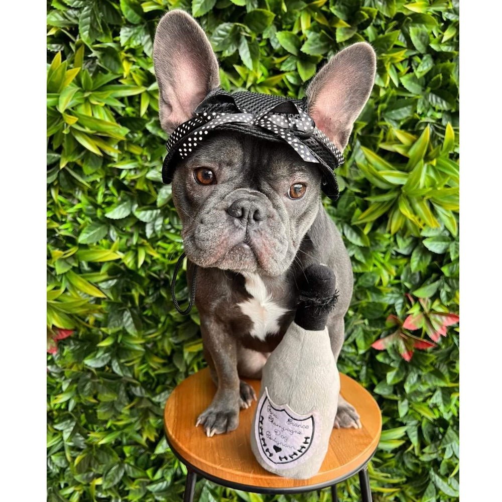 Full Brim Dog Sun Hat Black - Dog Sun Hat from . at DoggyTopia