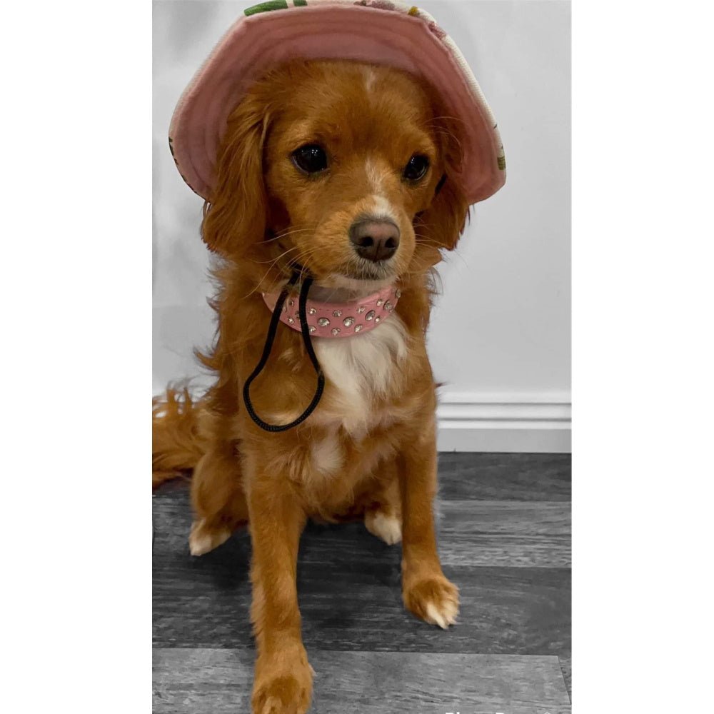 Full Brim Dog Sun Hat Floral - Dog Sun Hat from . at DoggyTopia