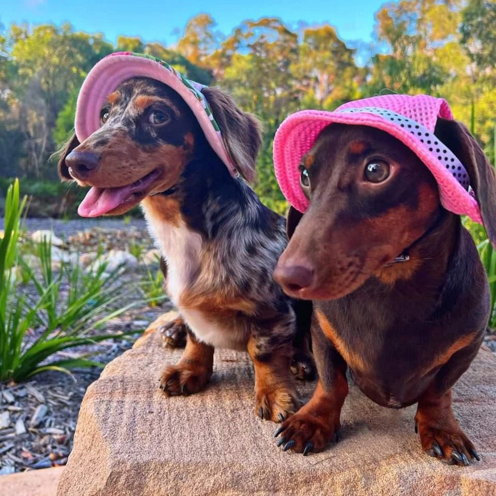 Full Brim Dog Sun Hat Floral - Dog Sun Hat from . at DoggyTopia