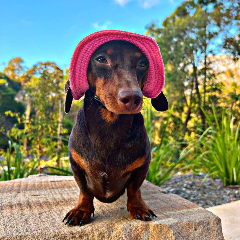 Full Brim Dog Sun Hat Pink - Dog Sun Hat from . at DoggyTopia