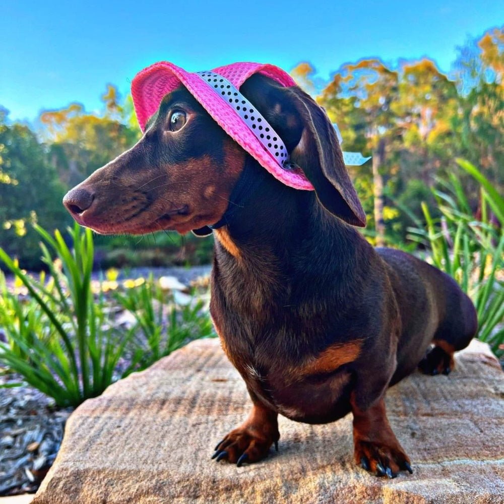 Full Brim Dog Sun Hat Pink - Dog Sun Hat from . at DoggyTopia