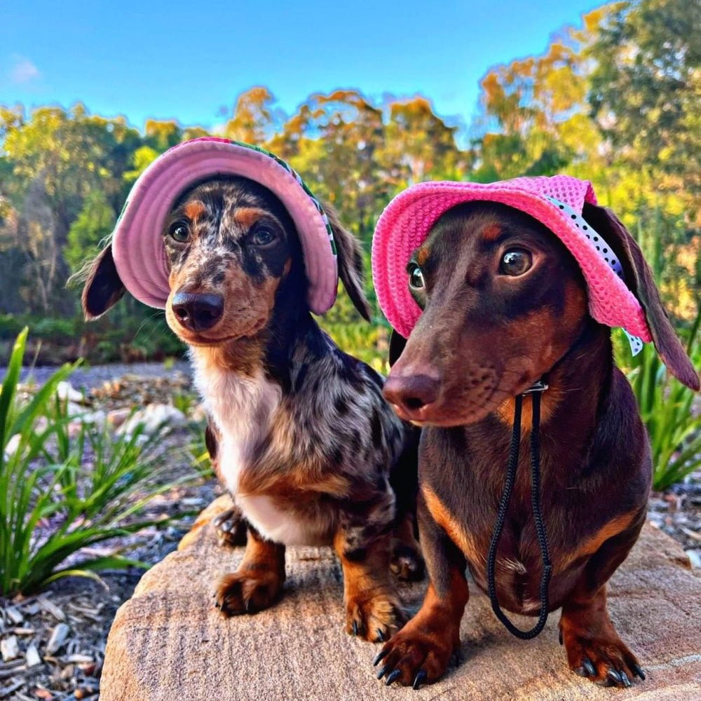 Full Brim Dog Sun Hat Pink - Dog Sun Hat from . at DoggyTopia