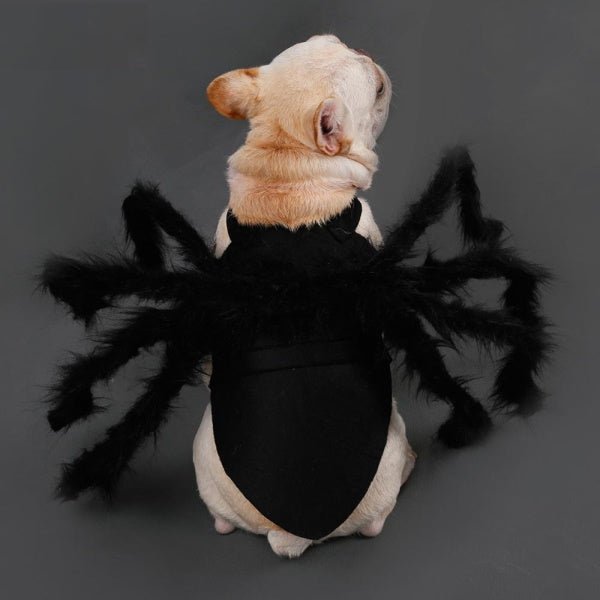 Fuzzy Spider Dog Costume - Costumes from Halloween at DoggyTopia
