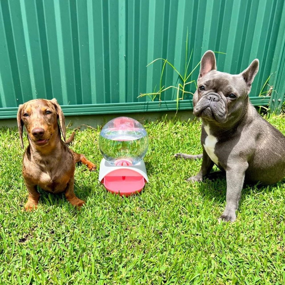 Gravity Water Bubble Fountain - Water Fountain from . at DoggyTopia