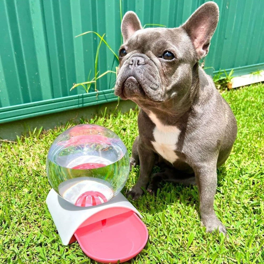 Gravity Water Bubble Fountain - Water Fountain from . at DoggyTopia