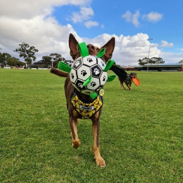 Interactive Dog Soccer Ball With Grab Tabs - Interactive Toys from . at DoggyTopia