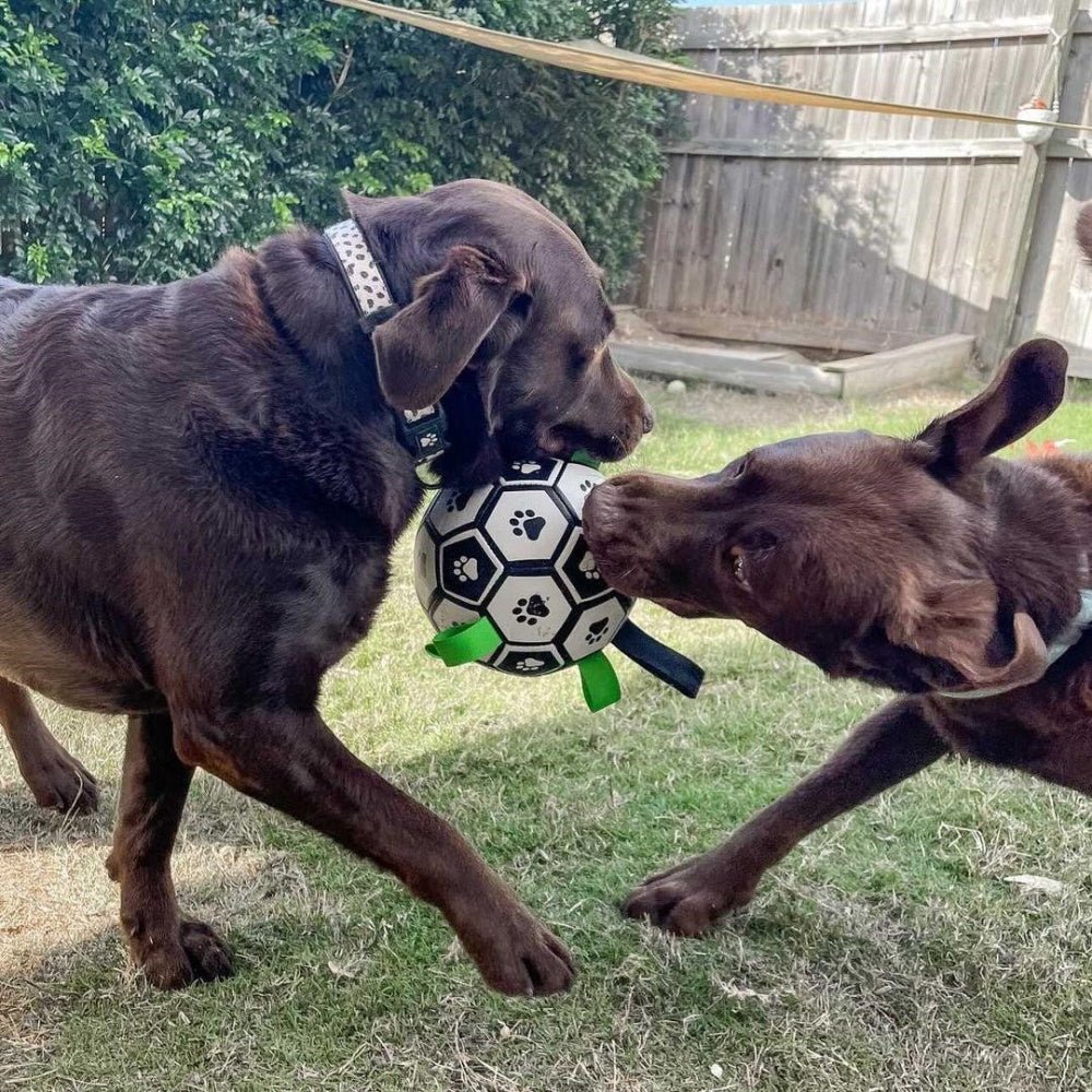 Interactive Dog Soccer Ball With Grab Tabs - Interactive Toys from . at DoggyTopia