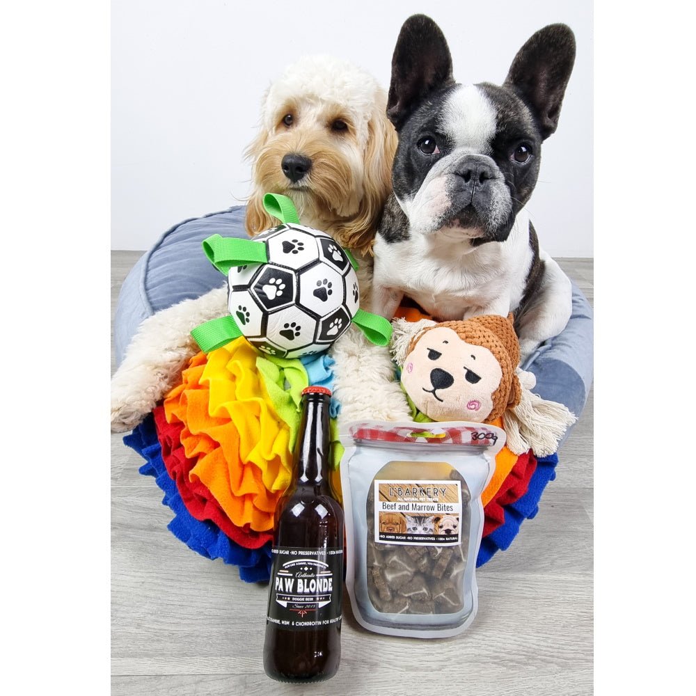 Interactive Dog Soccer Ball With Grab Tabs - Interactive Toys from . at DoggyTopia