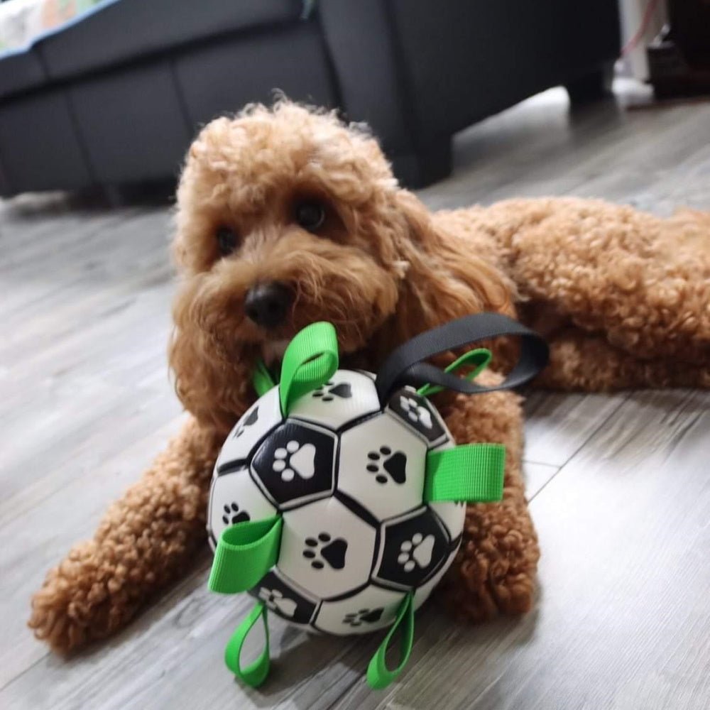 Interactive Dog Soccer Ball With Grab Tabs - Interactive Toys from . at DoggyTopia
