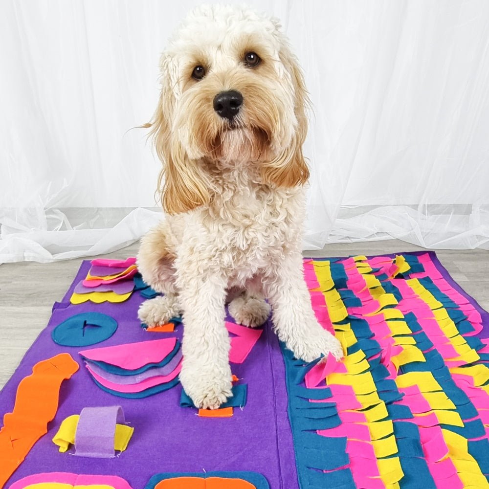 Interactive Snuffle Mat - Snuffle Mats from . at DoggyTopia