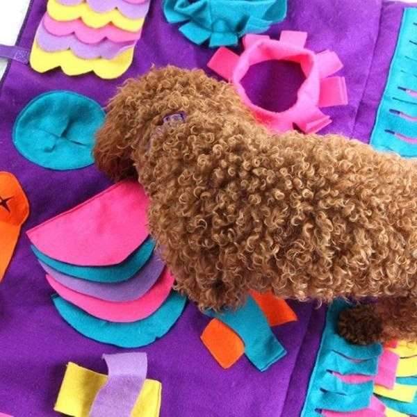 Interactive Snuffle Mat - Snuffle Mats from . at DoggyTopia