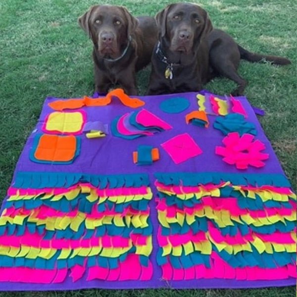 Interactive Snuffle Mat - Snuffle Mats from . at DoggyTopia