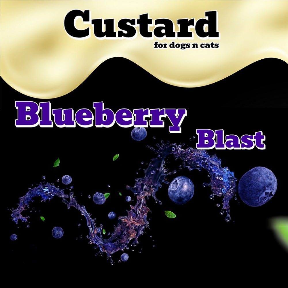L'Barkery Blueberry Blast Custard - Treats from L'Barkery at DoggyTopia