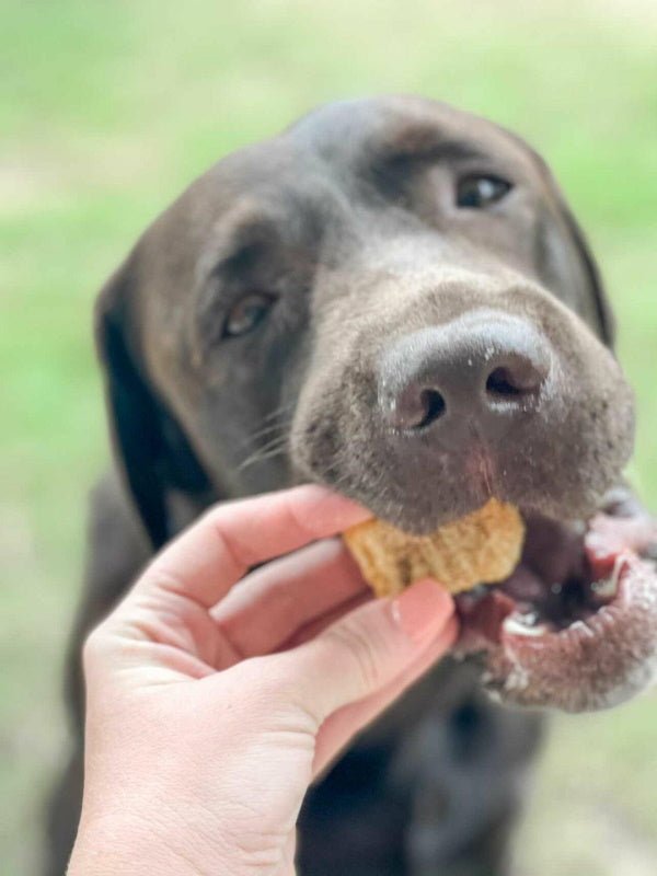 L'Barkery Chicken Nuggetz - Treats from L'Barkery at DoggyTopia