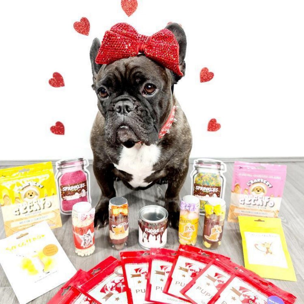L'Barkery Doggie Gelato - Honey & Banana - Treats from L'Barkery at DoggyTopia