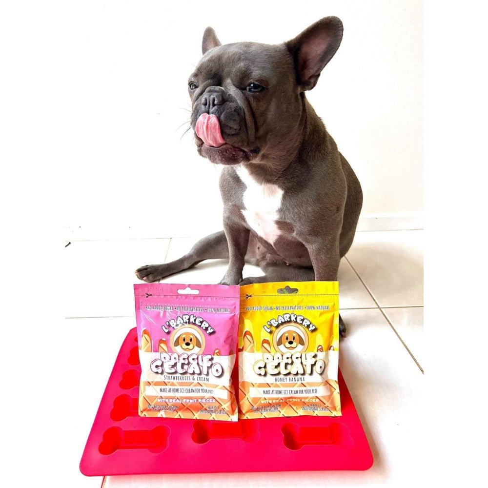 L'Barkery Doggie Gelato - Honey & Banana - Treats from L'Barkery at DoggyTopia