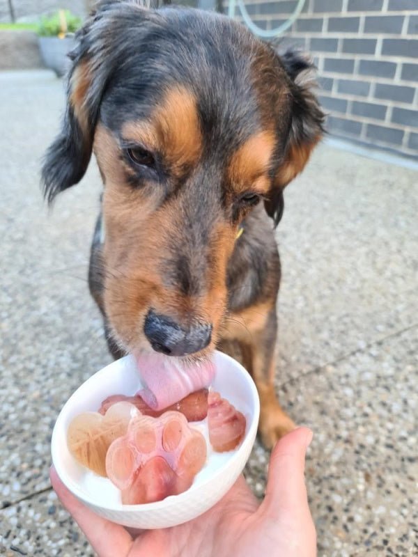 L'Barkery Doggie Pupsicles - Treats from L'Barkery at DoggyTopia