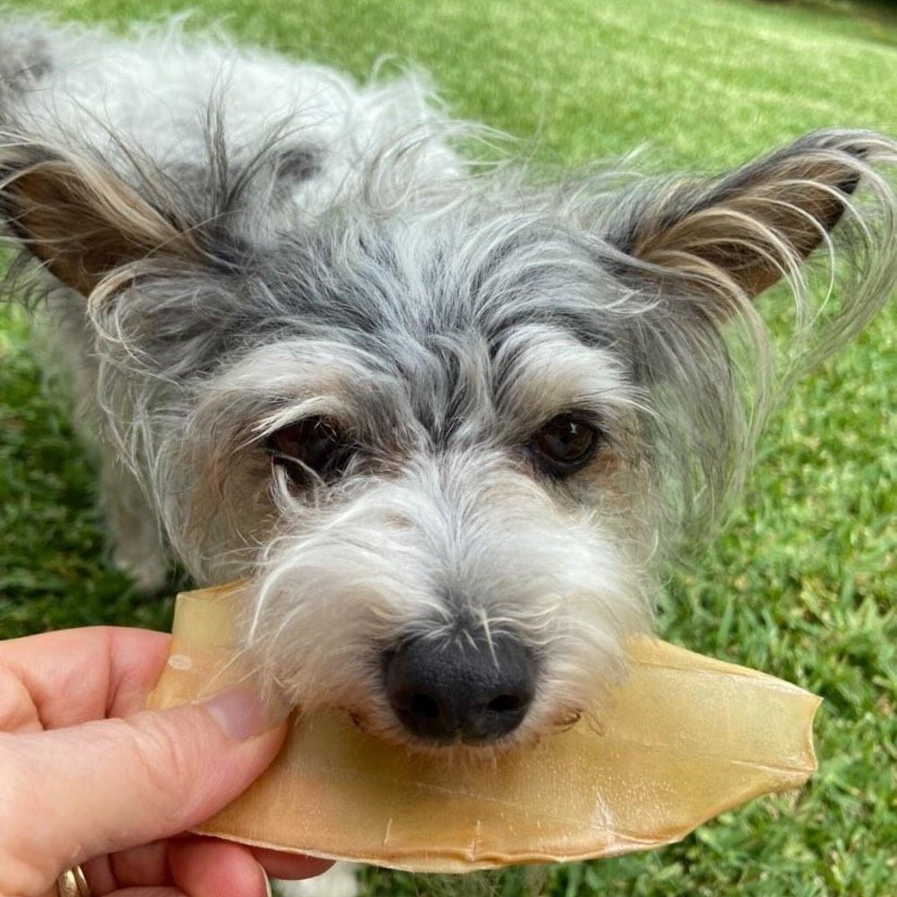 L'Barkery Guppie Ear Chewz - Treats from L'Barkery at DoggyTopia