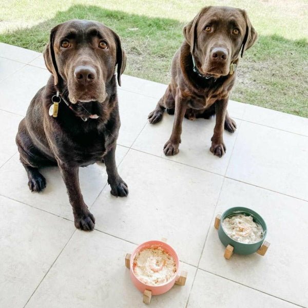 L'Barkery Just Prawns - Treats from L'Barkery at DoggyTopia
