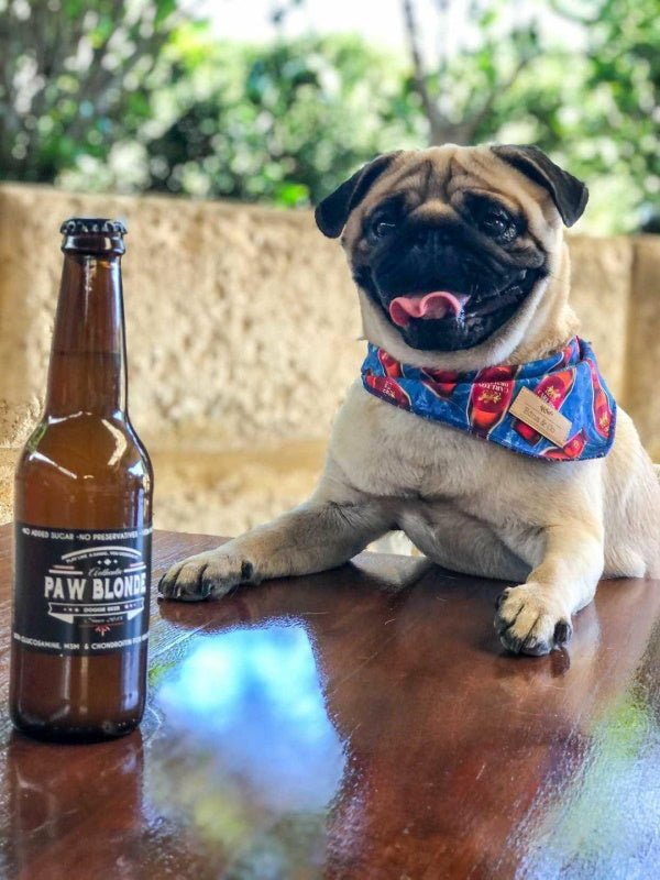 L'Barkery Paw Blonde Bottle - Beverages from L'Barkery at DoggyTopia