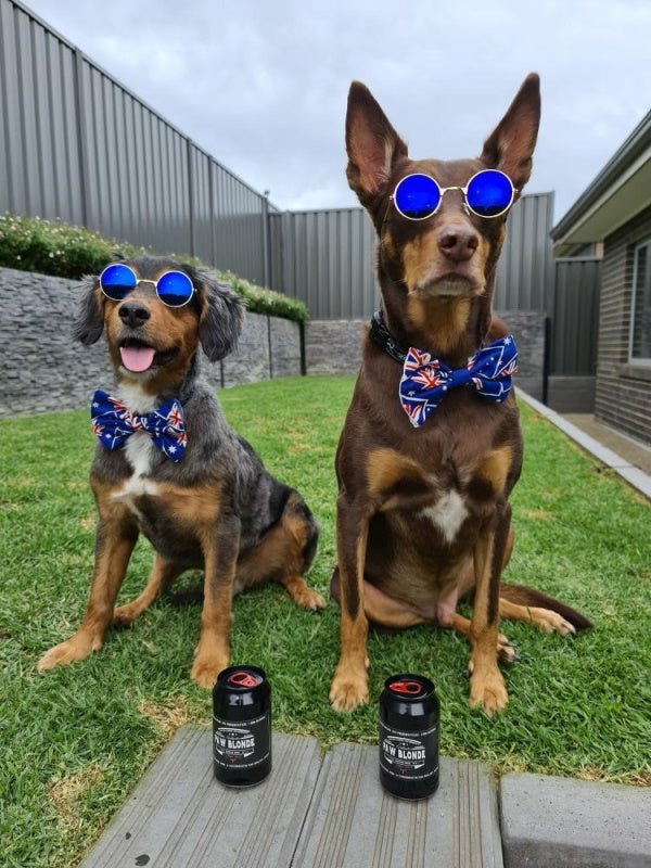 L'Barkery Paw Blonde Can - Beverages from L'Barkery at DoggyTopia