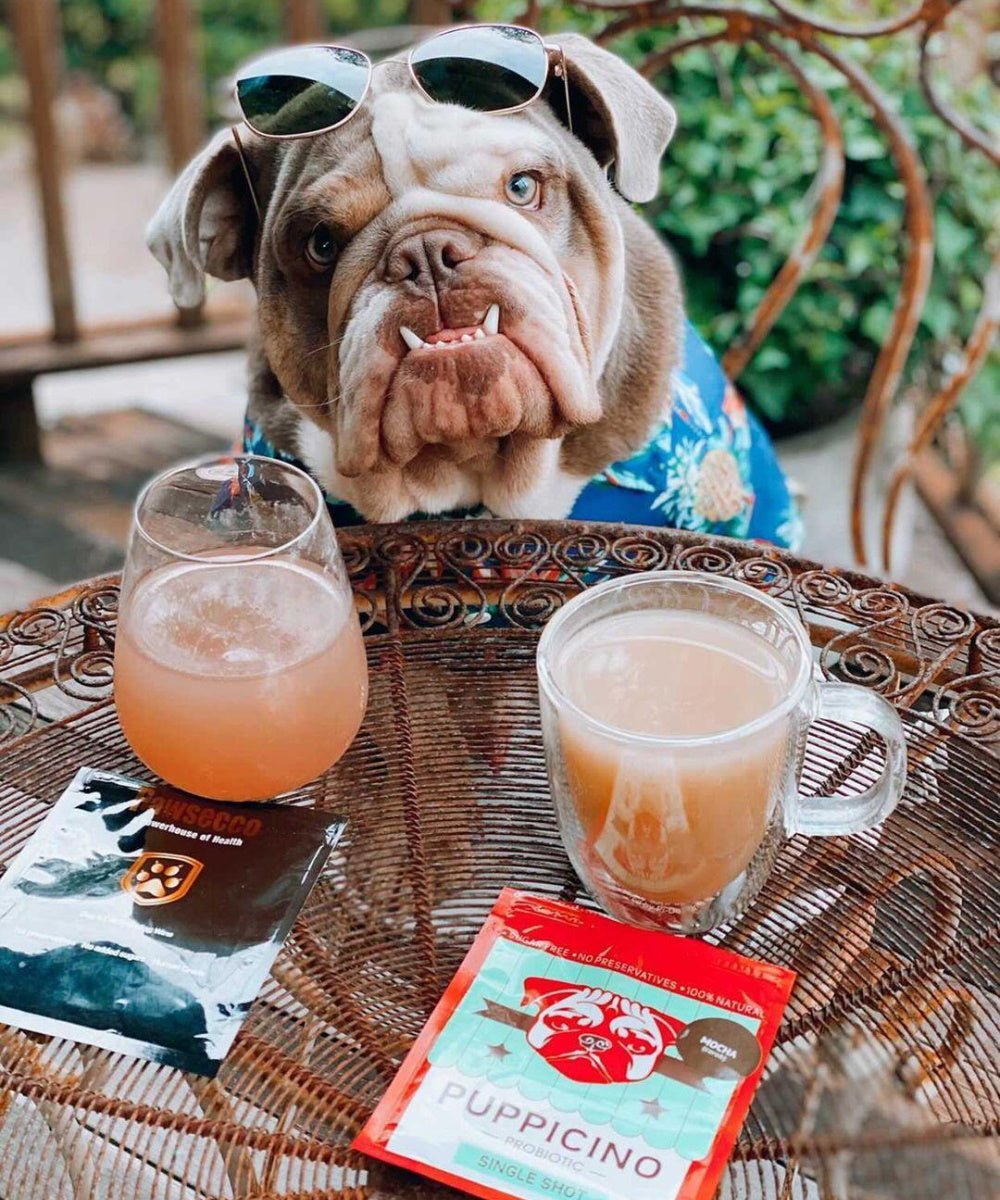 L'Barkery Pawsecco Sparkling Wine - Beverages from L'Barkery at DoggyTopia