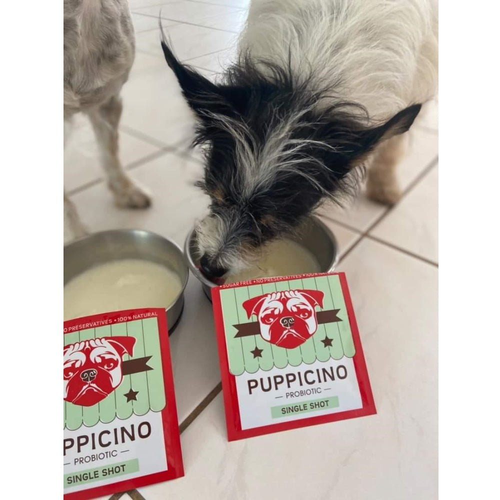 L'Barkery Puppicino Shot - Beverages from L'Barkery at DoggyTopia