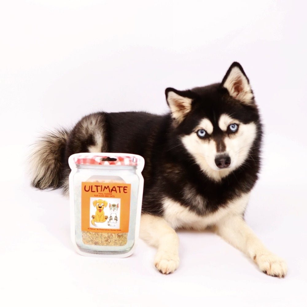 L'Barkery Ultimate Meal Topper - Meal Topper from L'Barkery at DoggyTopia