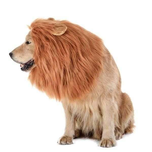 Lion Mane Dog Costume - Medium to Large Dogs - Costumes from Halloween at DoggyTopia