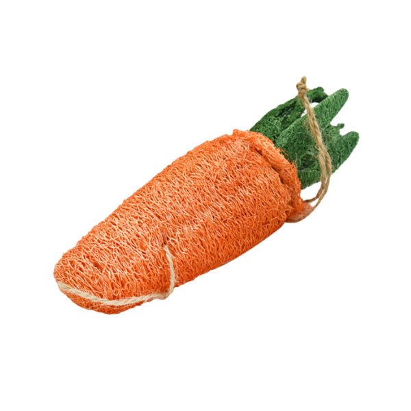 Loofah Carrot Dental Toy - Dental Toys from . at DoggyTopia