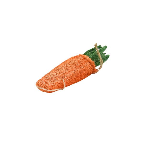 Loofah Carrot Dental Toy - Dental Toys from . at DoggyTopia
