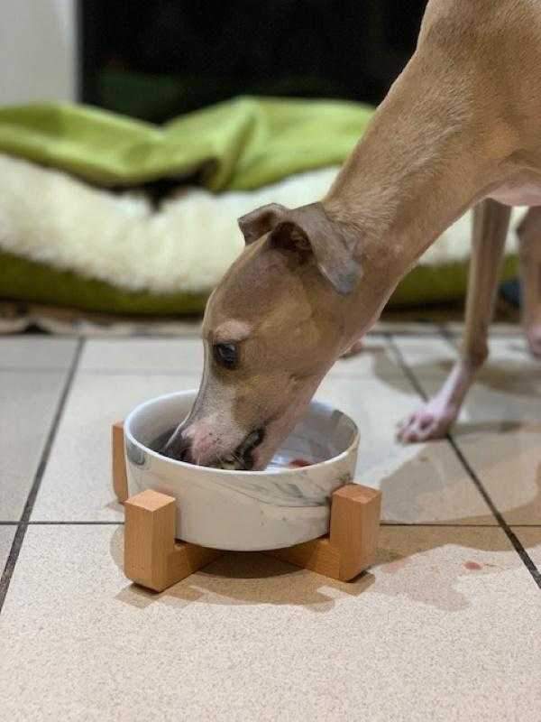 Marble Ceramic Bowl with Bamboo Stand - Bowls from . at DoggyTopia