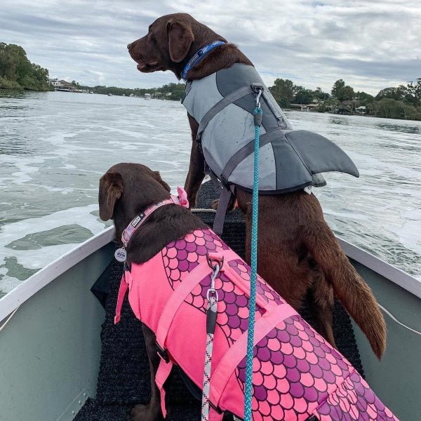 Mermaid Dog Life Jacket - Life Jackets from . at DoggyTopia