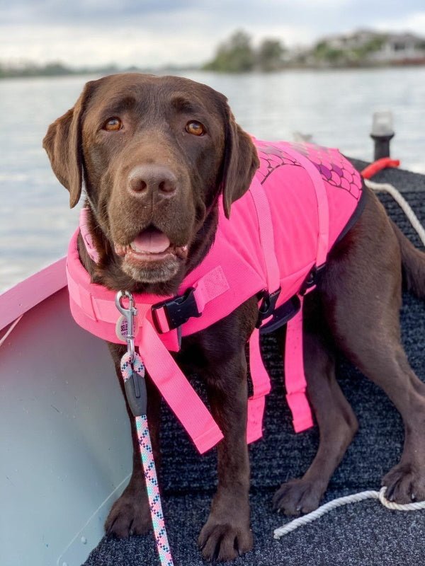 Mermaid Dog Life Jacket - Life Jackets from . at DoggyTopia