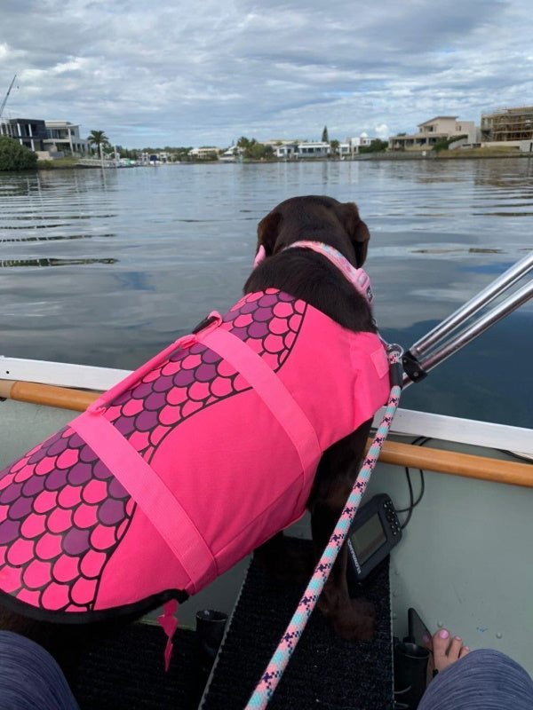 Mermaid Dog Life Jacket - Life Jackets from . at DoggyTopia