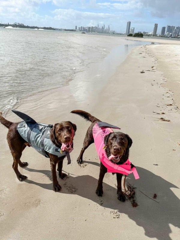 Mermaid Dog Life Jacket - Life Jackets from . at DoggyTopia
