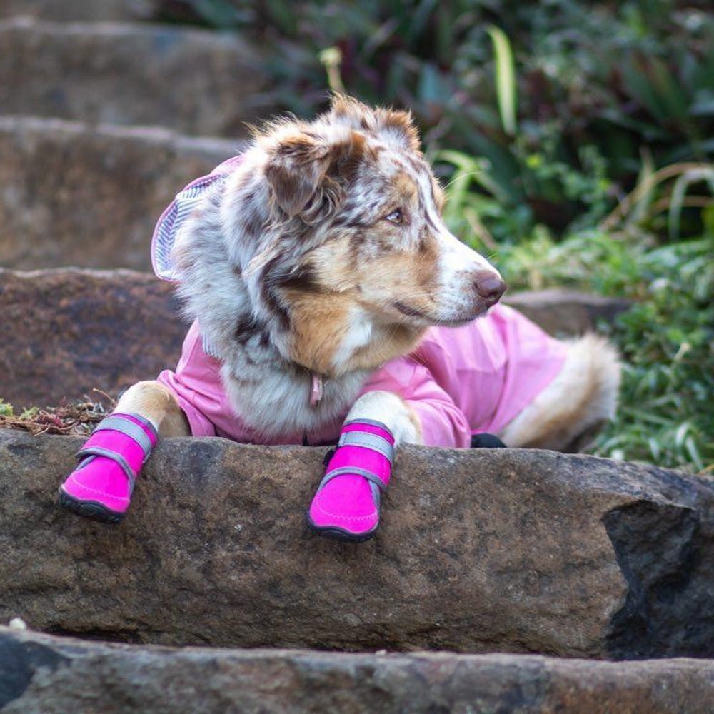 Neoprene Dog Shoes - Dog Shoes from . at DoggyTopia