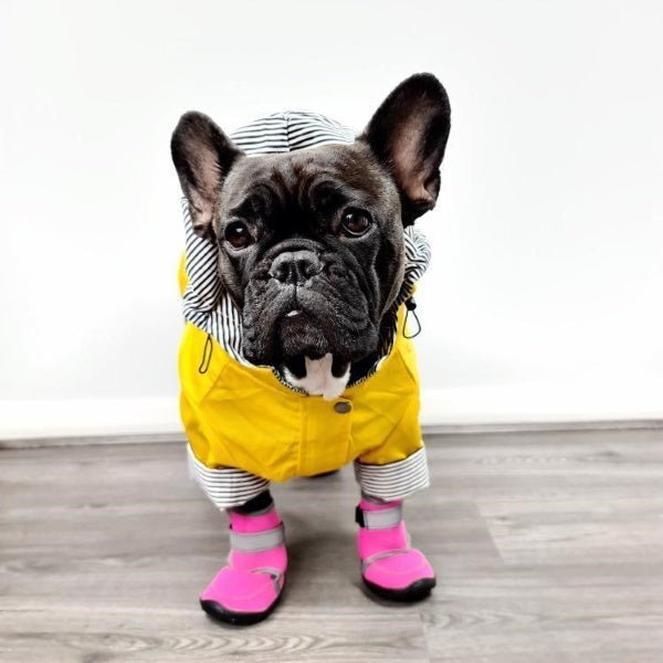 Neoprene Dog Shoes - Dog Shoes from . at DoggyTopia