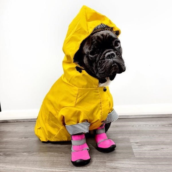 Neoprene Dog Shoes - Dog Shoes from . at DoggyTopia