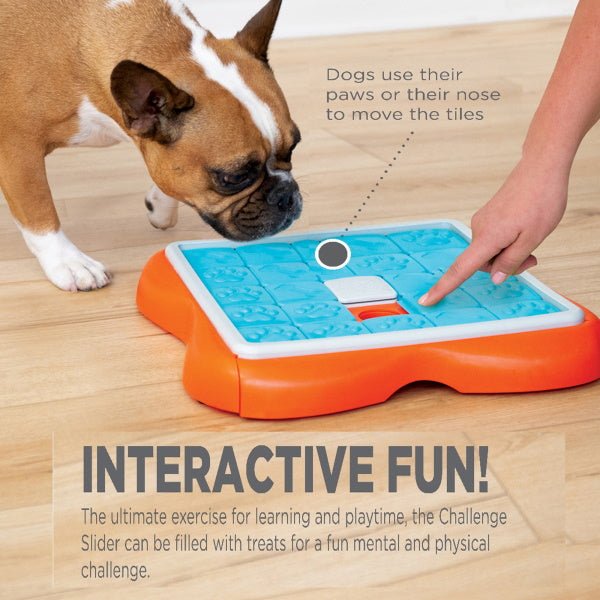 Nina Ottosson - Challenge Slider - Puzzles from Nina Ottosson at DoggyTopia