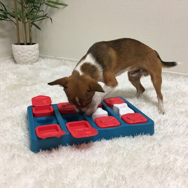 Nina Ottosson - Dog Brick - Puzzles from Nina Ottosson at DoggyTopia