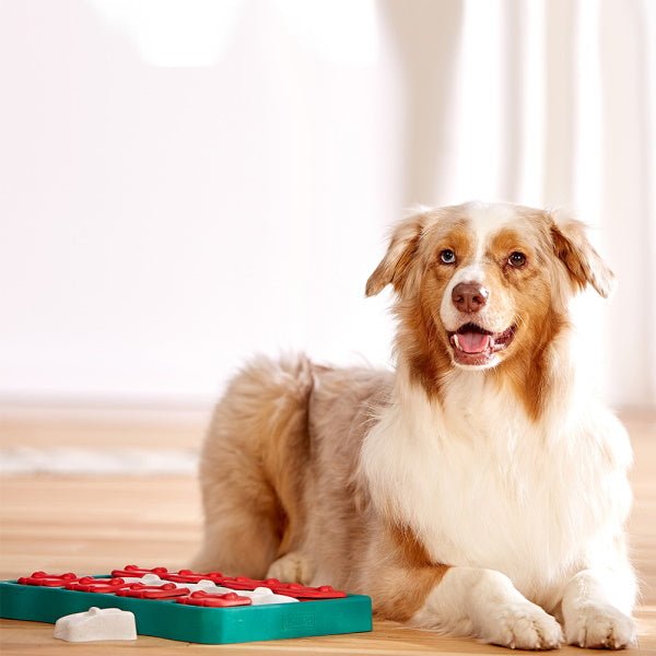 Nina Ottosson - Dog Brick - Puzzles from Nina Ottosson at DoggyTopia