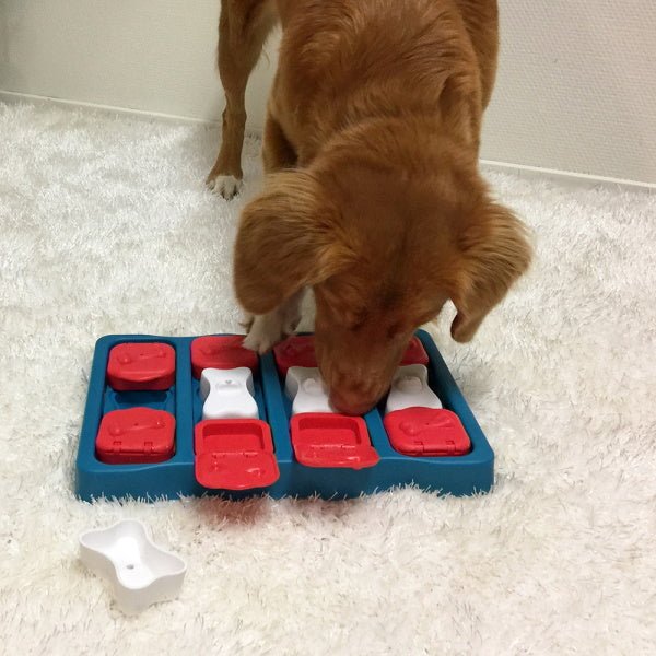 Nina Ottosson - Dog Brick - Puzzles from Nina Ottosson at DoggyTopia