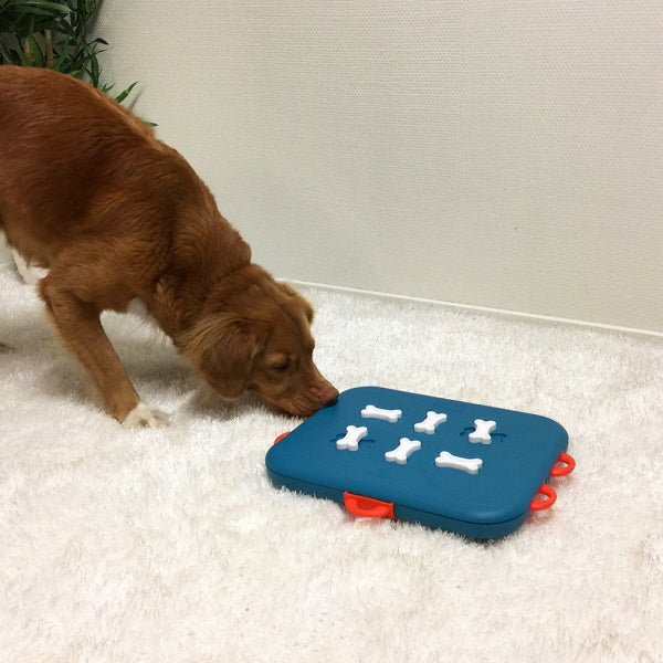 Nina Ottosson - Dog Casino - Puzzles from Nina Ottosson at DoggyTopia