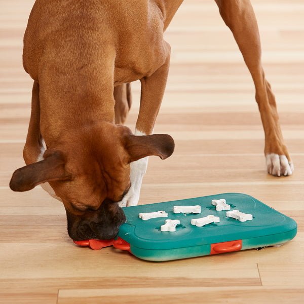 Nina Ottosson - Dog Casino - Puzzles from Nina Ottosson at DoggyTopia