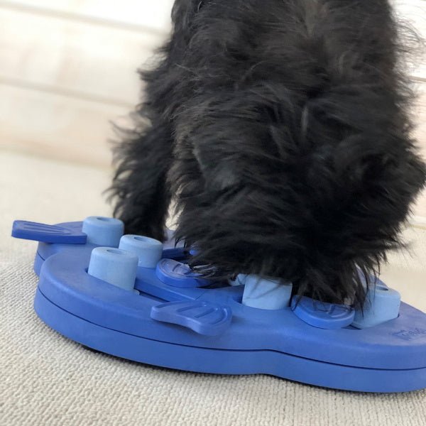 Nina Ottosson - Dog Hide N Slide Composite Blue - Puzzles from Nina Ottosson at DoggyTopia