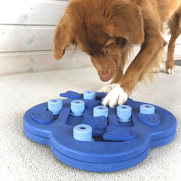 Nina Ottosson - Dog Hide N Slide Composite Blue - Puzzles from Nina Ottosson at DoggyTopia