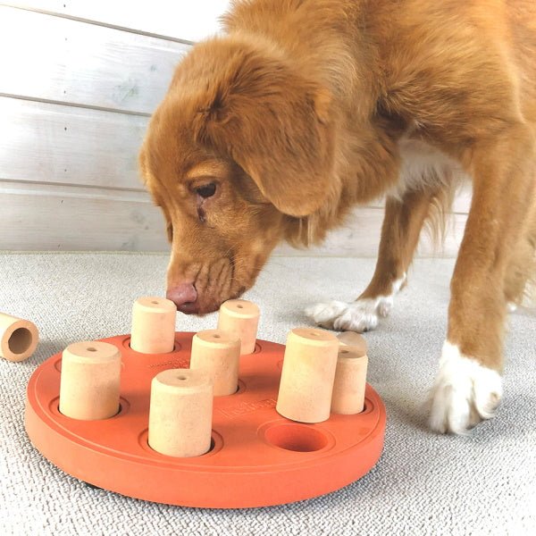 Nina Ottosson - Dog Smart Composite Orange - Puzzles from Nina Ottosson at DoggyTopia